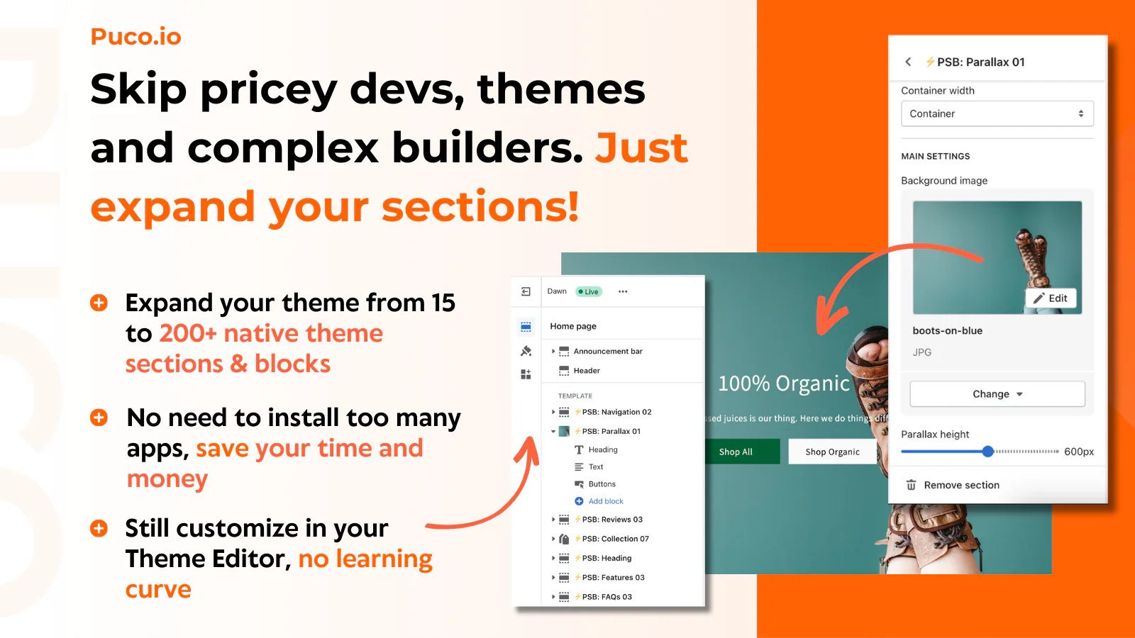 Puco Sections app preview